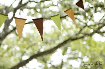 muted colored bunting in a tree
