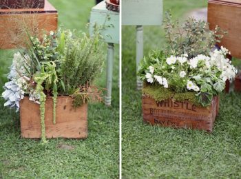 flowers in wooden wine boxes