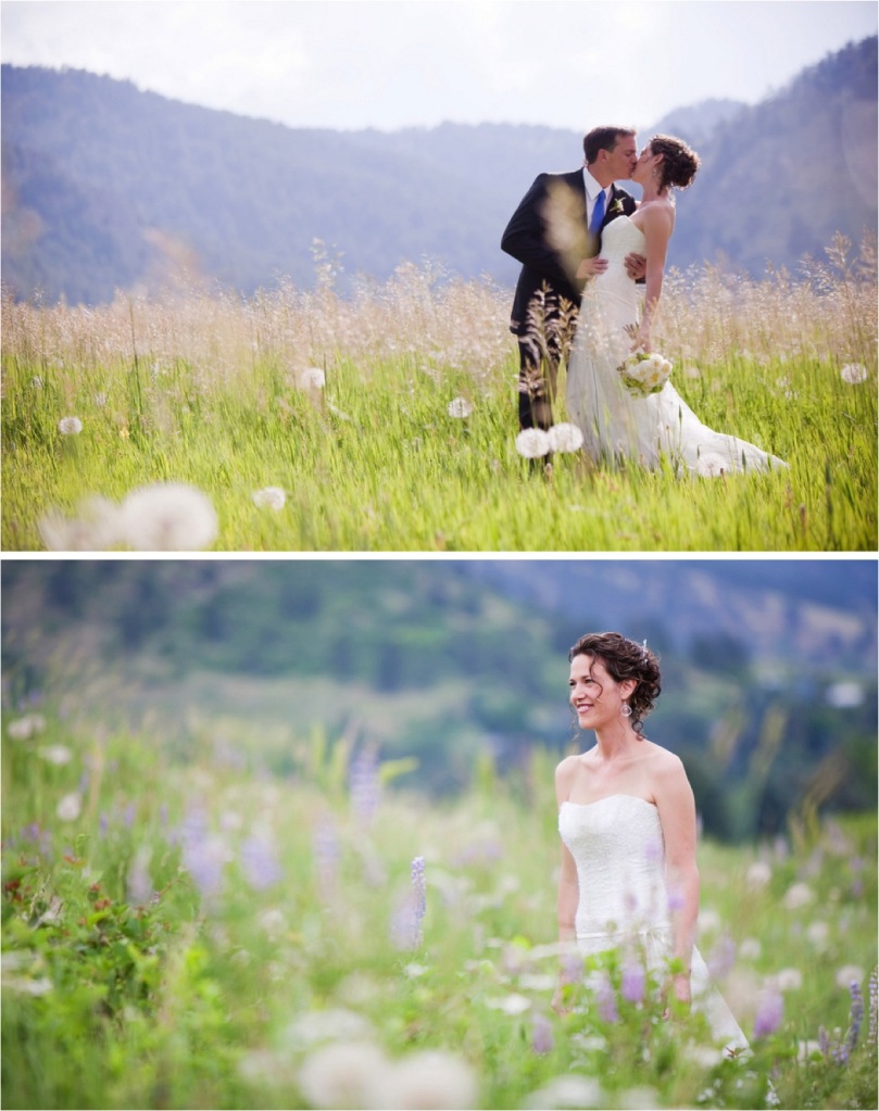 Boulder Colorado Wedding Portraits in a wildflower filled meadow 