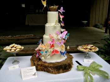 DIY Butterfly Wedding cake