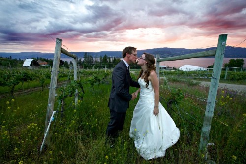 Sunset in a BC vineyard wedding