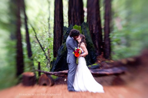 Bride and Groom in the woods