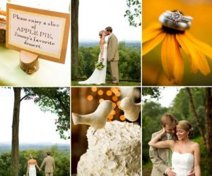 DIY Asheville Wedding signs, cake, and rings