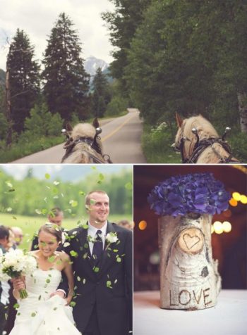 Horses and birch bark at an Aspen Wedding