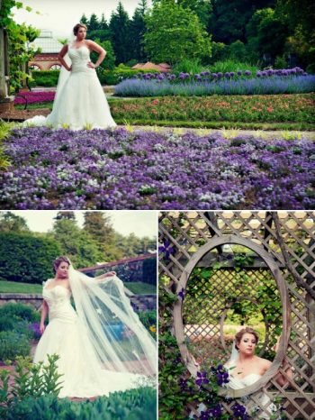 Bride stands in purple flower garden at the Biltmore