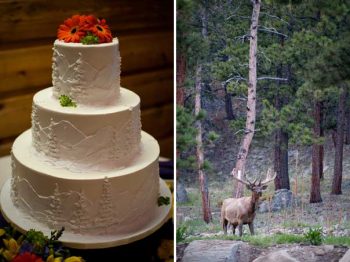 wildlife at a Lake Tahoe wedding
