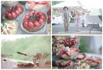 chocolate and berry dessert table