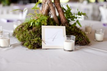 twig and moss table number