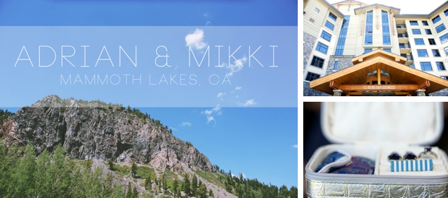 Adrian and Mikki Married in Mammoth Lakes, CA