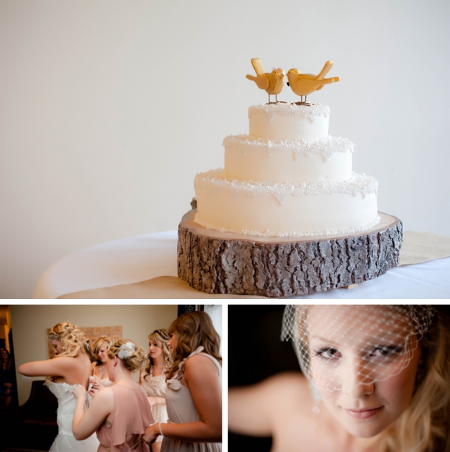 rustic elegance wedding cake and birdcage veil