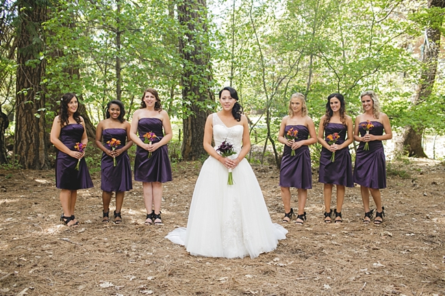 Yosemite wedding party in purple dresses