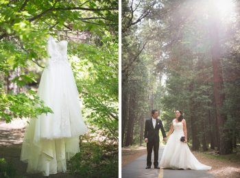 Wedding dress sin a tree in Yosemite