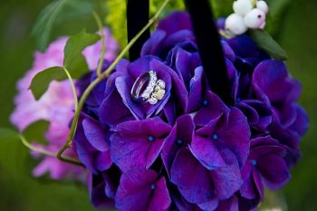 Purple Hydrangea | New Hampshire Mountain Wedding