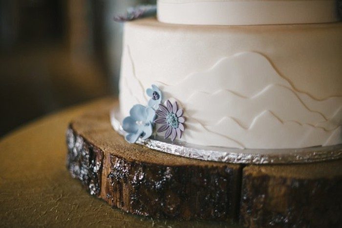wedding cake with succulents and mountains - Mount Rose Wedding