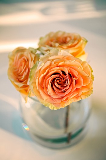 pretty orange roses in bud vases 