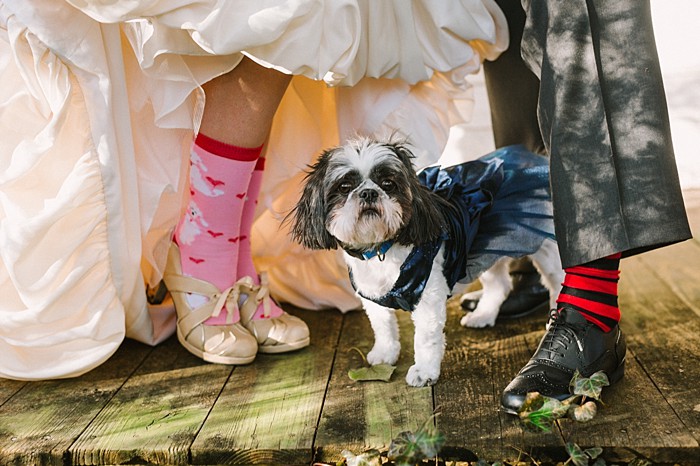 wedding socks | JoPhoto |Townsend Tennessee