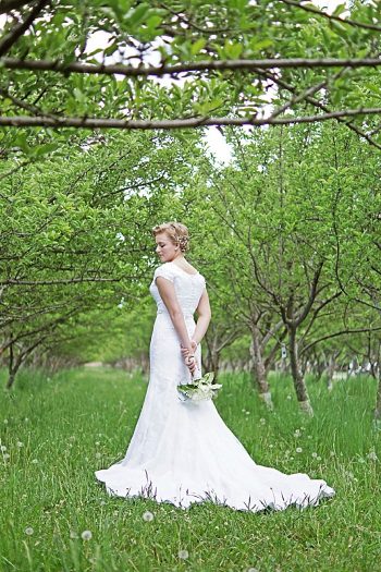 Utah Orchard Bridals | Amber Shaw Photography