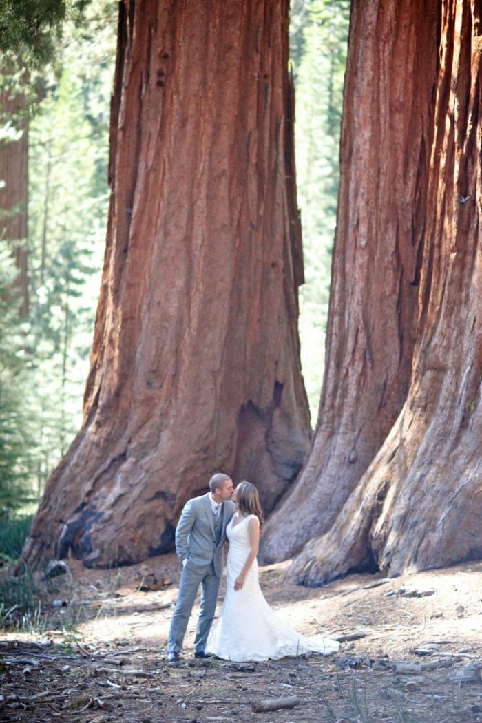 Yosemite Mountain Wedding