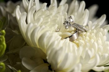 rings | Deer Valley Utah Wedding | Pepper Nix Photography