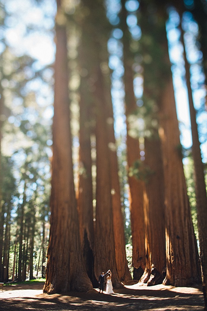 Sequoia Elopment