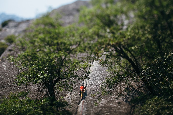 Yosemite rock climbing engagement | Photography by Peter Amend