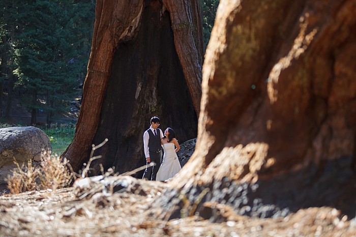 Sequoia National Park Bridal shoot by Bergreen Photography