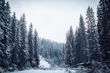 1 Calgary Winter Engagement | Nicole Sarah Photography | Via MountainsideBride Com