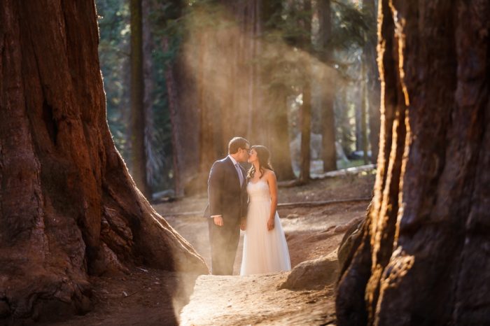 Sequoia Elopement Bergreen Photography | Via MountainsideBride.com