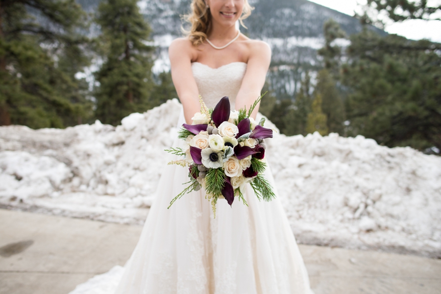 Estes Park Mountain Wedding with Plumb, Gray and Wood