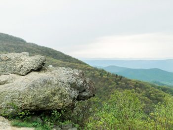 15 Windswept Editorial Shenandoah National Park | Molly Lichten | MountainsideBride.com