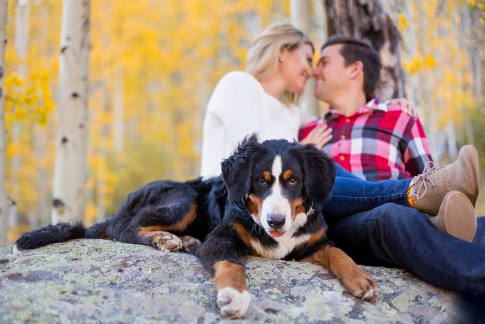 14 Fall Engagement In Vail Colorado Bergreen Photography Via MountainsideBride