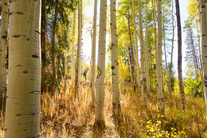 8 Fall Engagement In Vail Colorado Bergreen Photography Via MountainsideBride