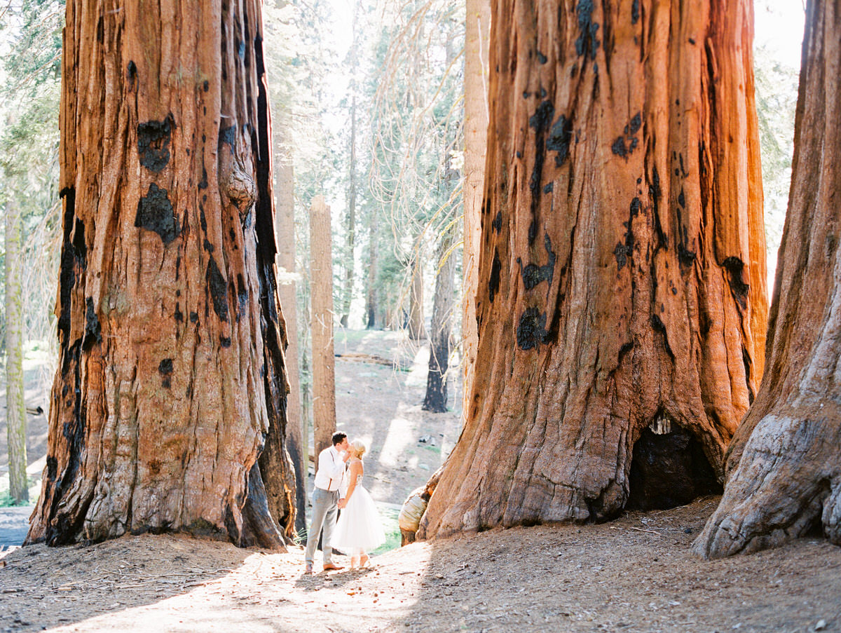 Sequoia National Park Wedding Portraits