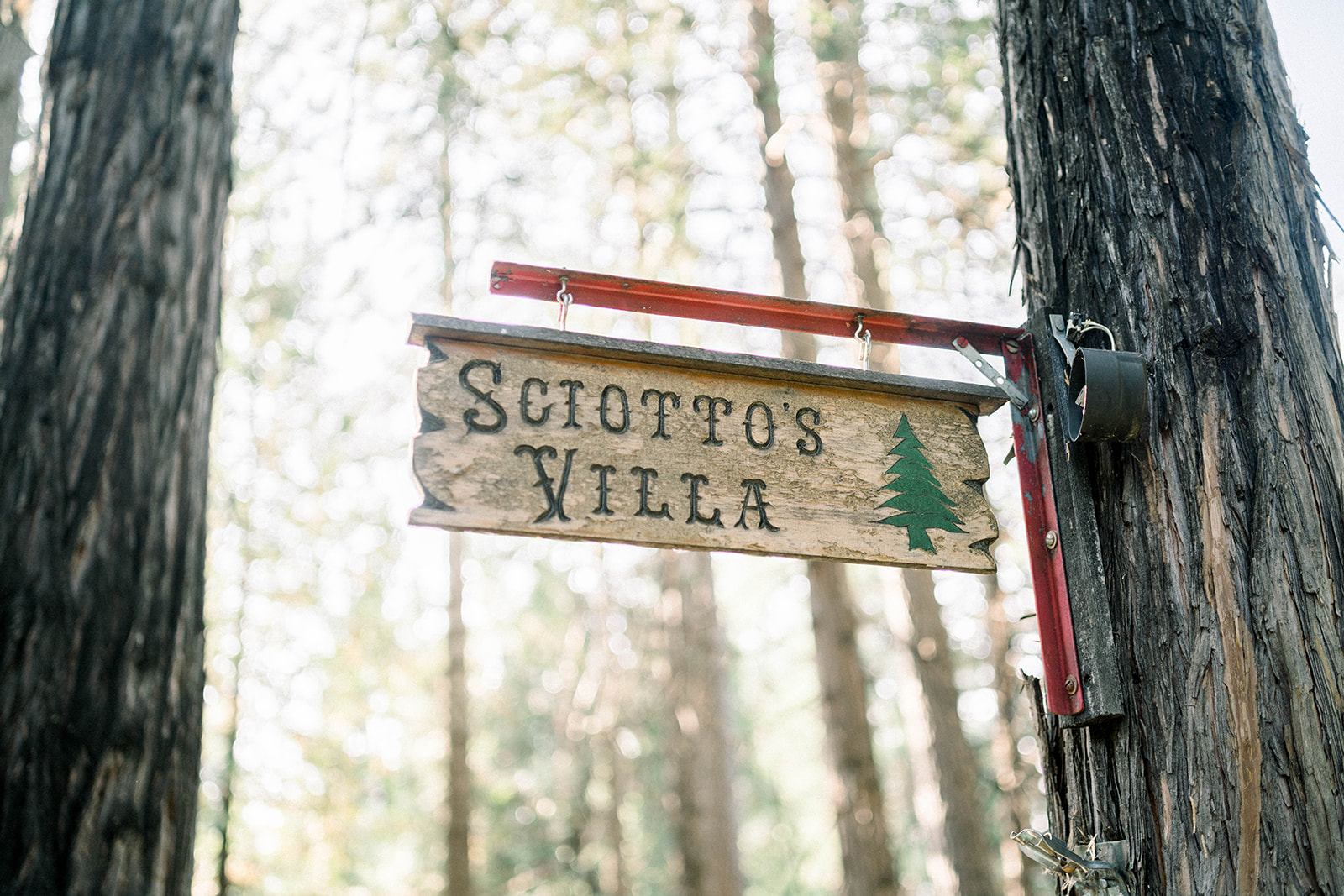 Intimate Rustic and Romantic Outdoor Wedding | Mountainside Bride